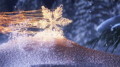 Template Thumb Image