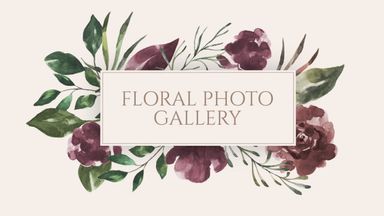 Template Thumb Image